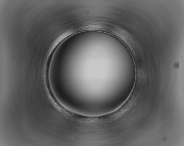 X0000098051426200803281444