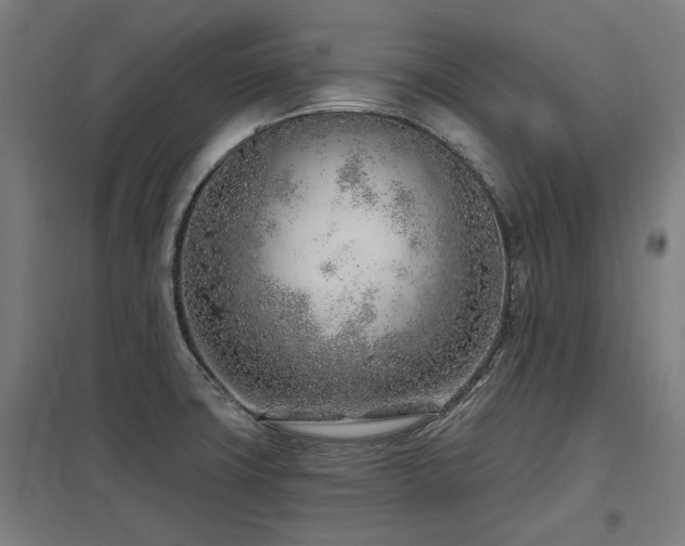 X0000098051427200803281444