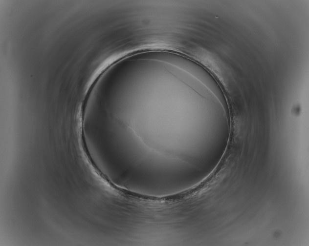 X0000098051428200803281444