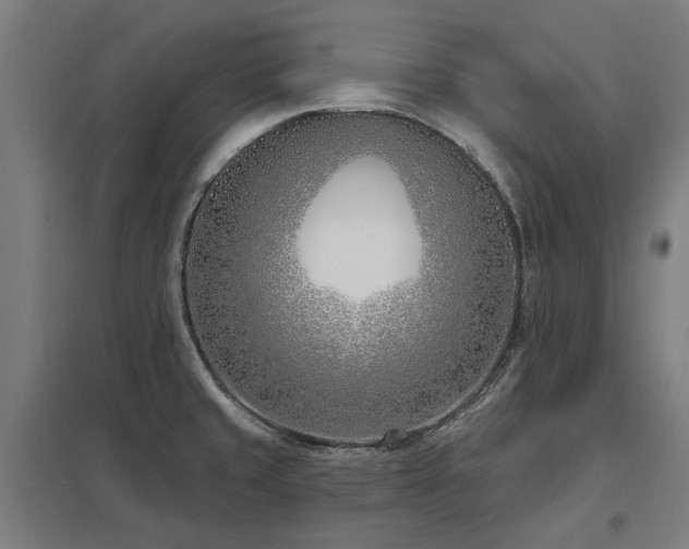 X0000098051429200803281444