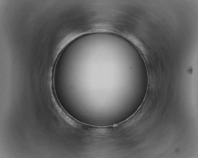 X0000098051431200803281444