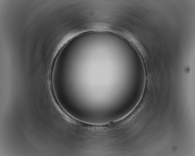 X0000098051432200803281444