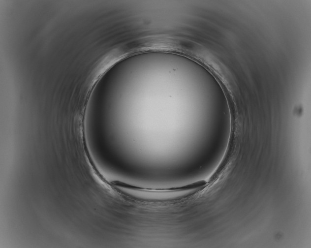 X0000098051433200803281444