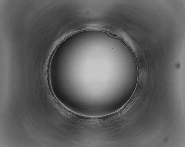 X0000098051435200803281444