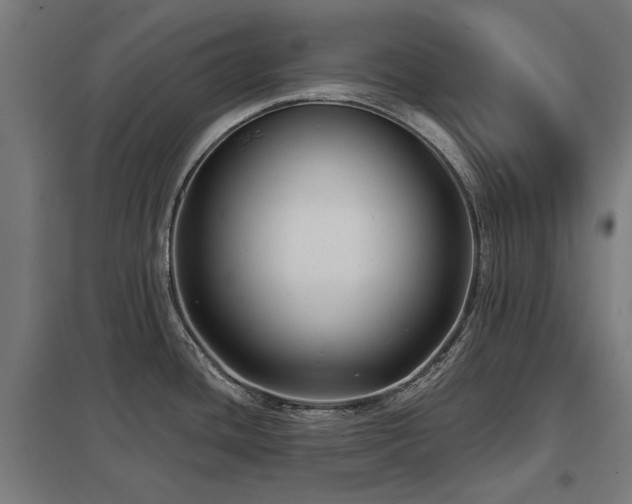 X0000098051436200803281444
