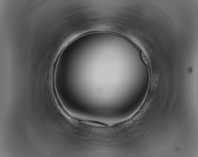 X0000098051437200803281444