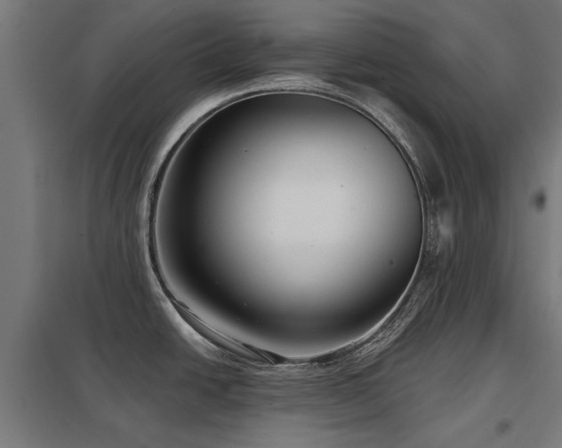 X0000098051438200803281444