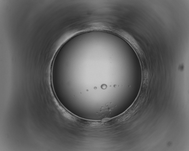 X0000098051439200803281444