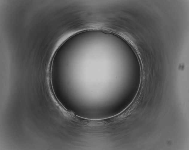 X0000098051440200803281444
