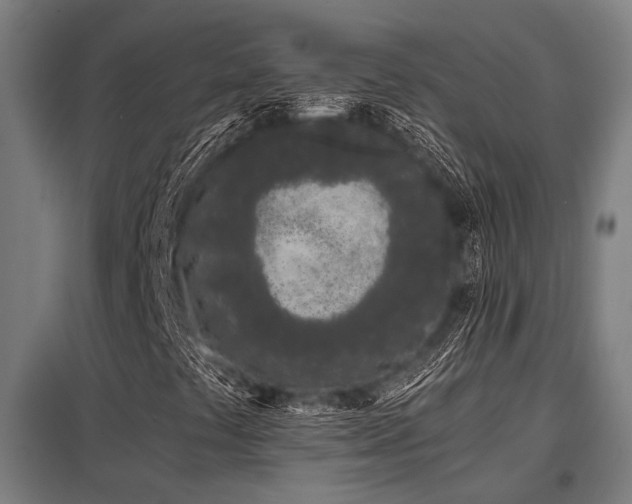 X0000098051441200803281443