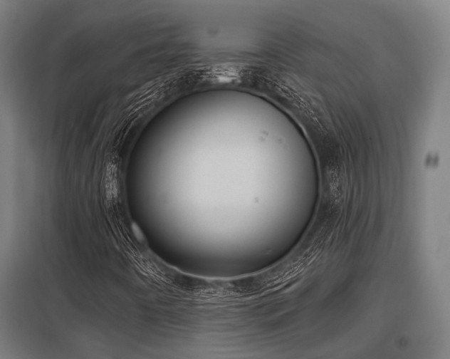X0000098051442200803281443