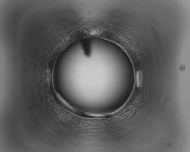 X0000098051443200803281443