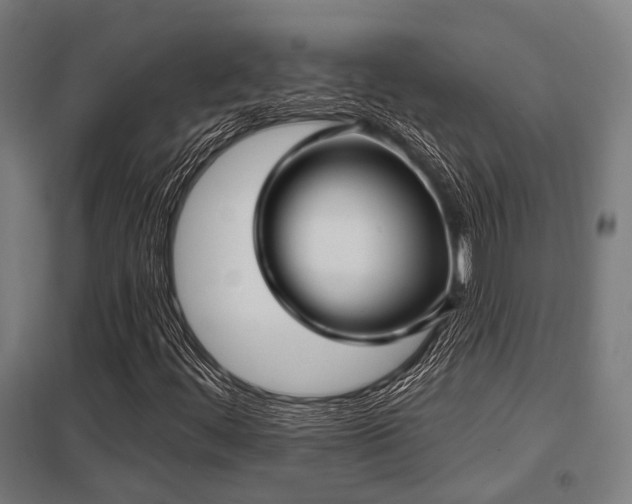 X0000098051444200803281443