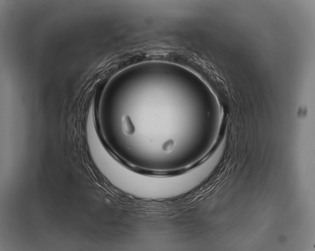 X0000098051445200803281443