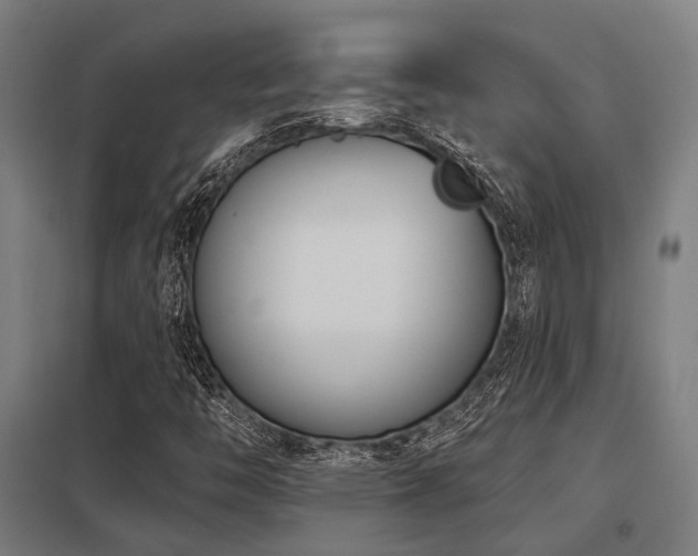 X0000098051446200803281443