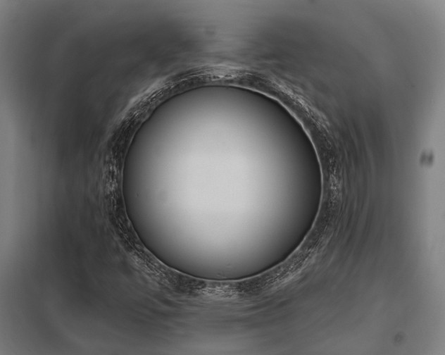 X0000098051447200803281443