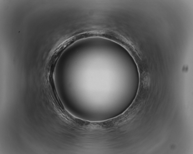 X0000098051448200803281443