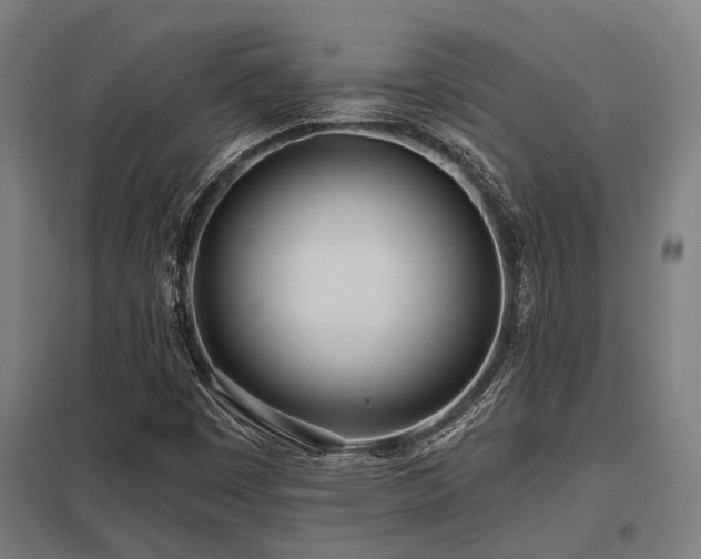 X0000098051449200803281443