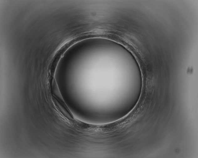 X0000098051450200803281443