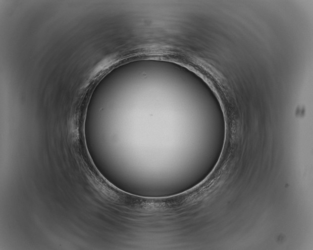 X0000098051451200803281443
