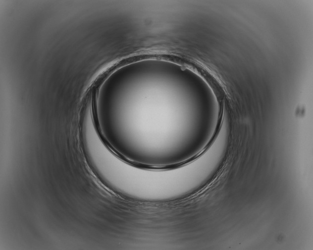 X0000098051452200803281443
