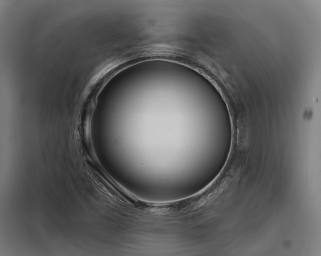 X0000098051453200803281443