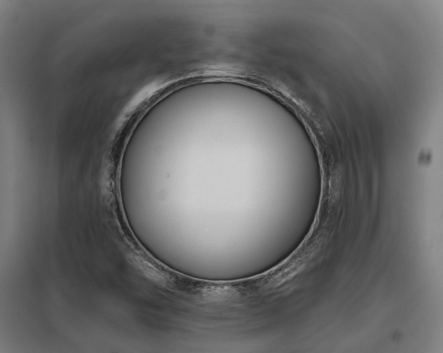 X0000098051454200803281443