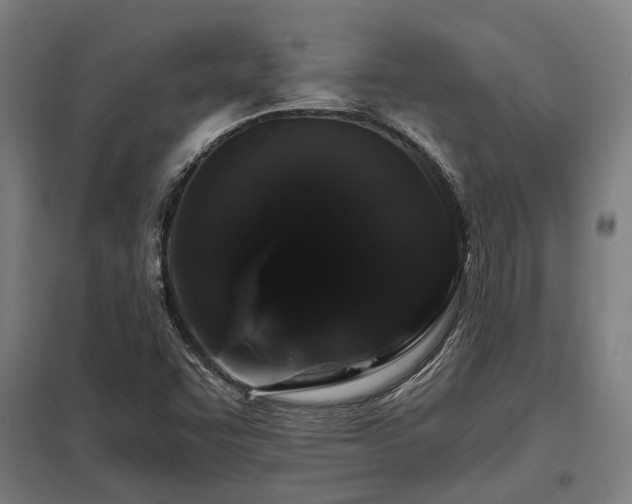 X0000098051455200803281443