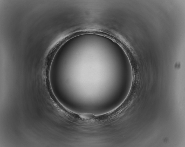 X0000098051456200803281443