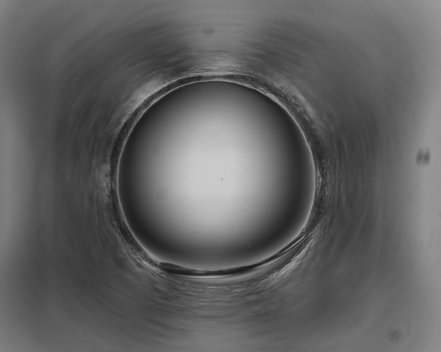 X0000098051457200803281443