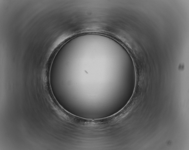 X0000098051458200803281443