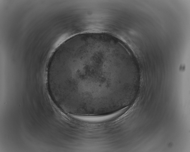 X0000098051459200803281443