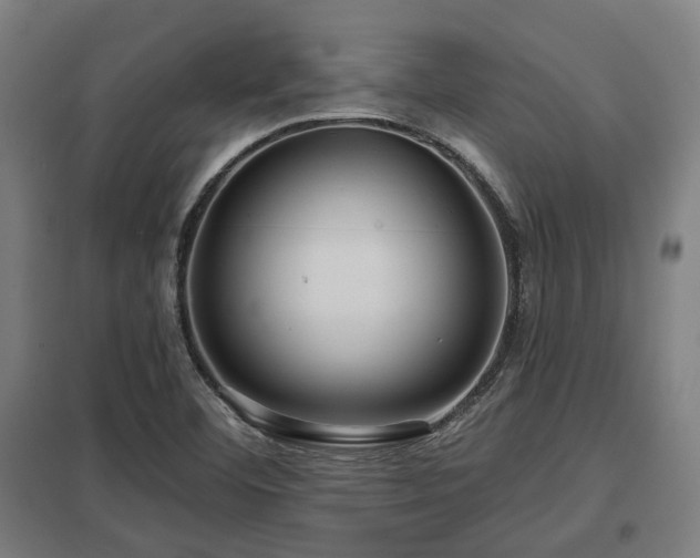 X0000098051460200803281443