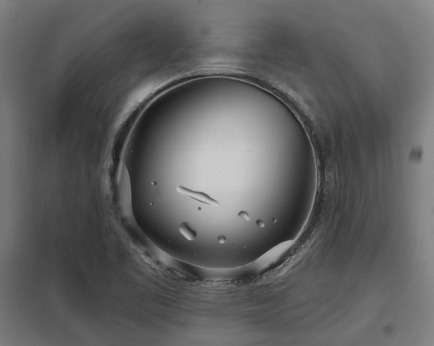 X0000098051461200803281443