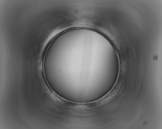 X0000098051462200803281443
