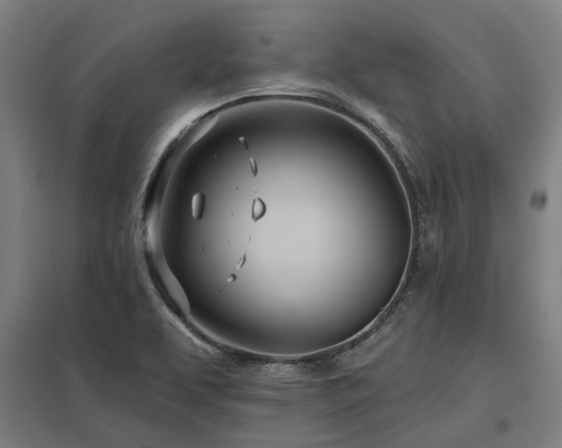 X0000098051463200803281443