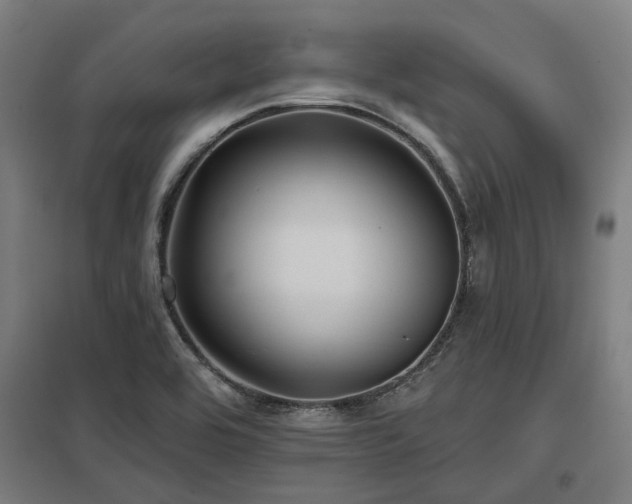 X0000098051464200803281443