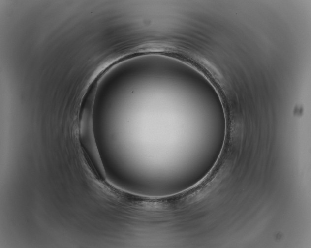 X0000098051465200803281443