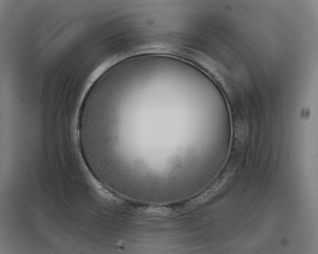 X0000098051466200803281443