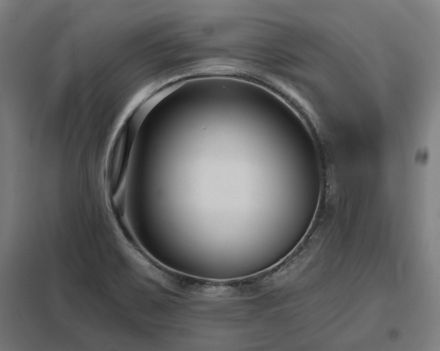 X0000098051467200803281443