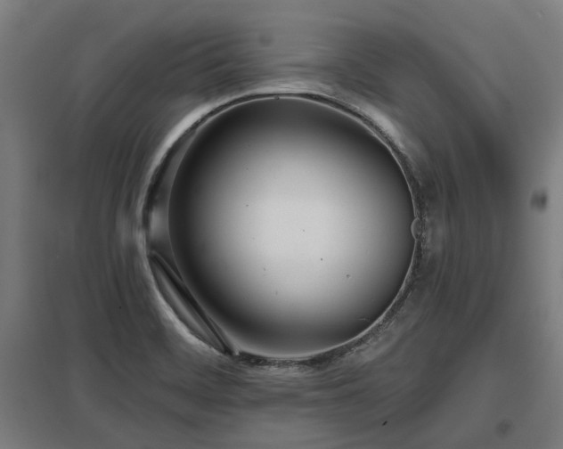 X0000098051468200803281443