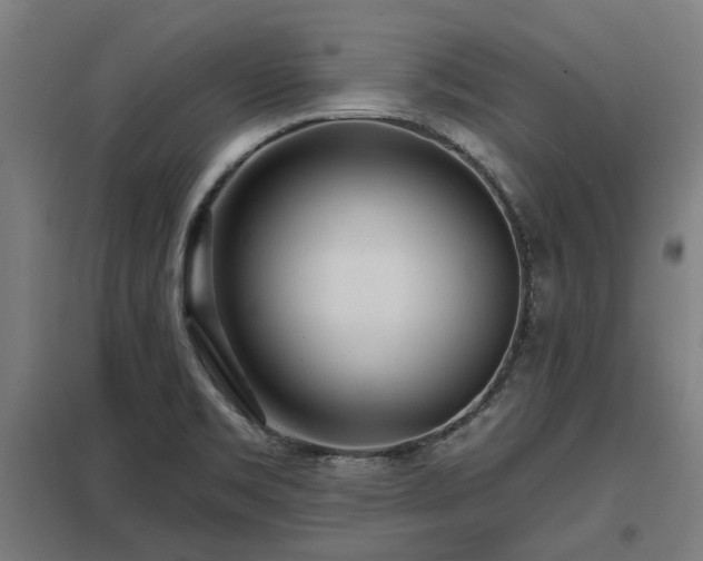 X0000098051469200803281443