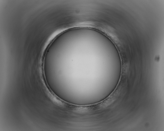 X0000098051470200803281443