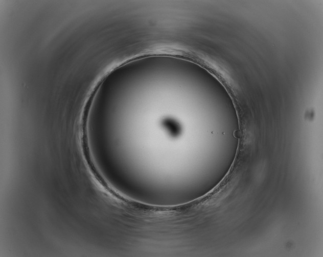 X0000098051471200803281443