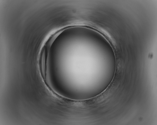 X0000098051472200803281443