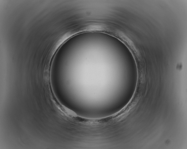 X0000098051473200803281443