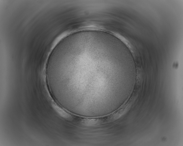 X0000098051474200803281443