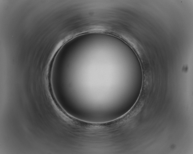 X0000098051475200803281443