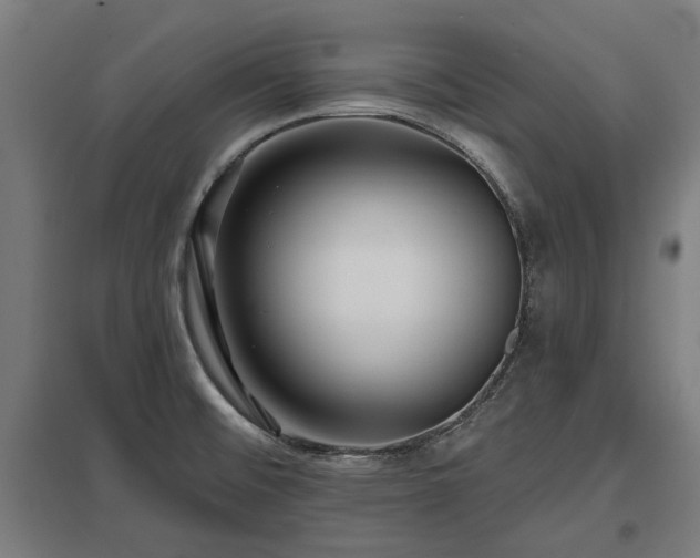 X0000098051476200803281442