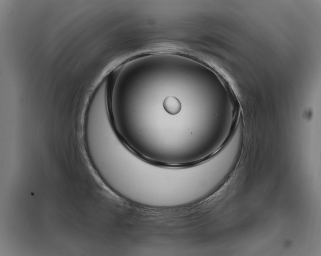 X0000098051477200803281442